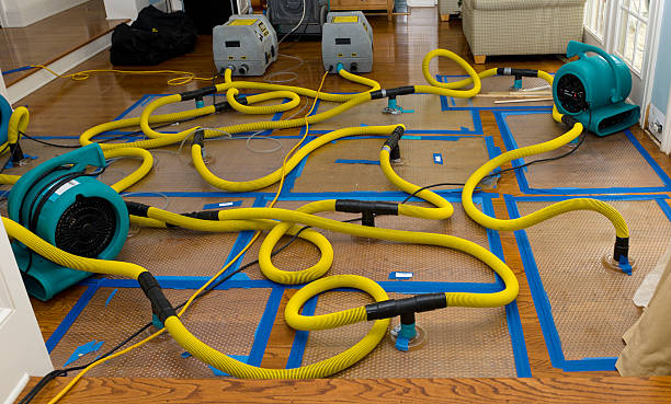 Professional Water Damage Restoration technician working in Magnolia, MS
